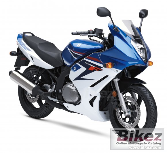 2008 Suzuki GS500F photo